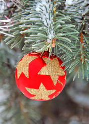 Similar image 442234