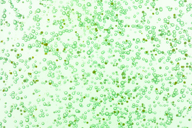 Similar image 442235