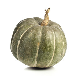 Similar image 442241