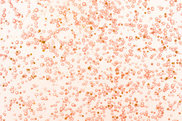 Similar image 442242