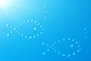 Similar image 442267