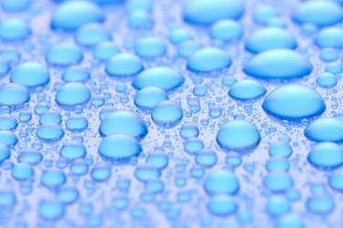 Similar image 442297