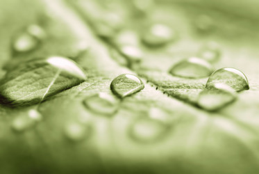 Similar image 442304