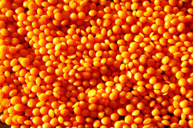 Similar image 442340