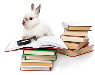 Similar image 442383