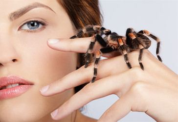 Similar image 442416