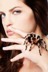 Similar image 442417