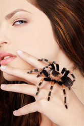 Similar image 442418