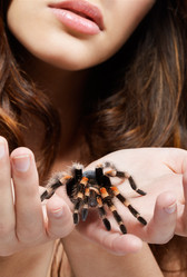 Similar image 442435