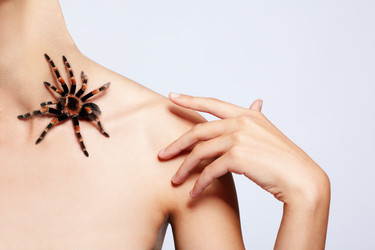 Similar image 442439