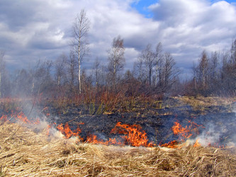 Similar image 442449