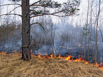 Similar image 442451