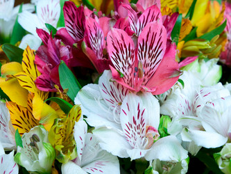 Similar image 442459