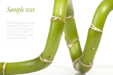 Similar image 442464