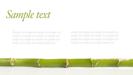 Similar image 442465