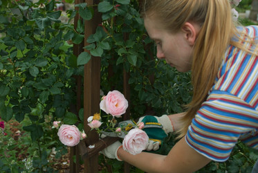 Similar image 442466