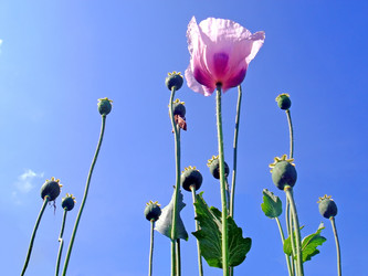 Similar image 442472