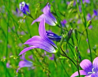 Similar image 442473