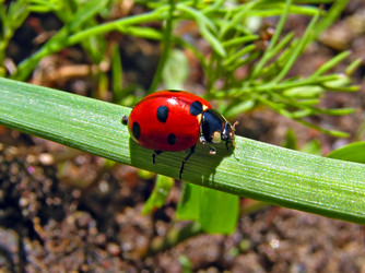 Similar image 442479