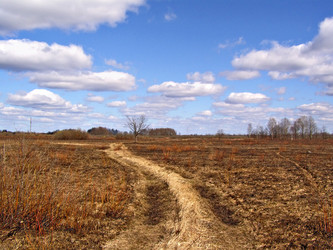 Similar image 442481