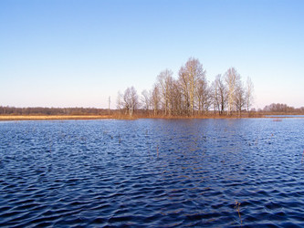 Similar image 442484