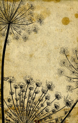 Similar image 442490