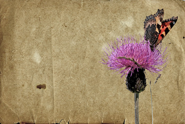 Similar image 442491