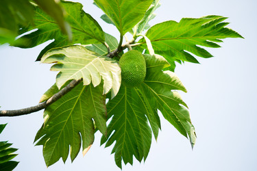 Similar image 442505