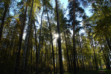 Similar image 442510