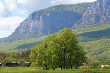 Similar image 442517