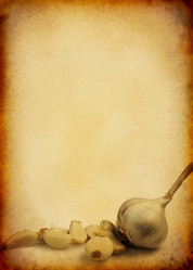 Similar image 442529