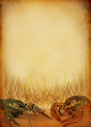 Similar image 442533