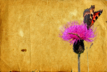 Similar image 442542