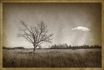 Similar image 442563