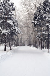 Similar image 442570