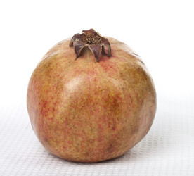 Similar image 442575