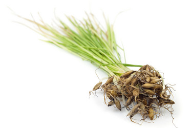 Similar image 442586