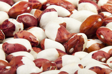 Similar image 442594