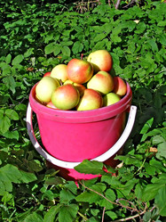 Similar image 442598