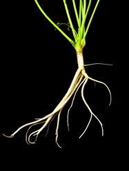 Similar image 442606