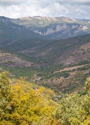 Similar image 442612