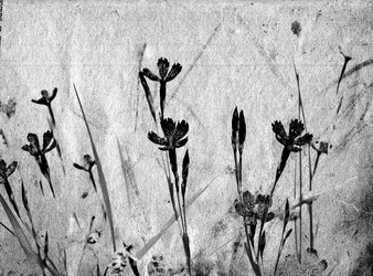 Similar image 442619