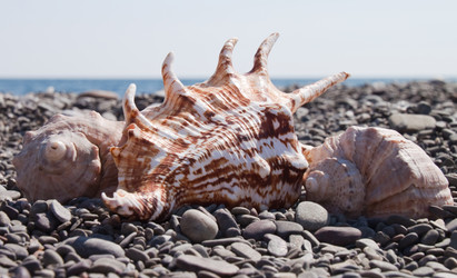 Similar image 442630