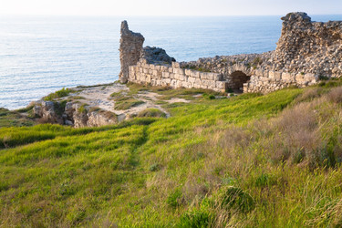 Similar image 442631