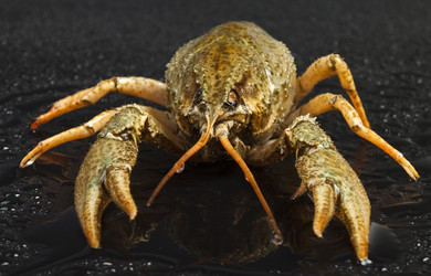 Similar image 442635