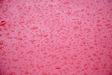 Similar image 442673