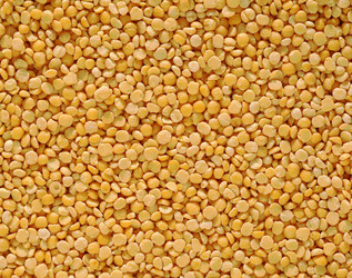 Similar image 442706