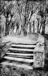 Similar image 442726