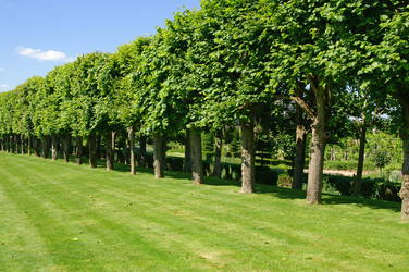 Similar image 442739