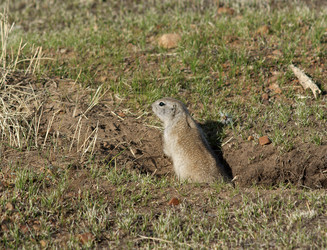 Similar image 442741